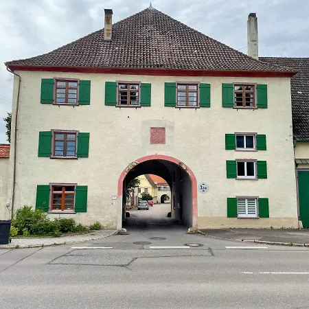 Ava - Heiligkreuztal