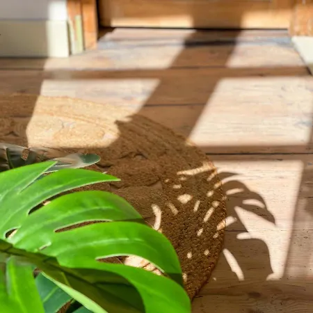 Ava - * Heiligkreuztal