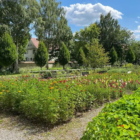 Ava - * Heiligkreuztal