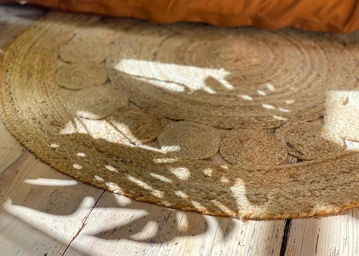 Ava - * Heiligkreuztal