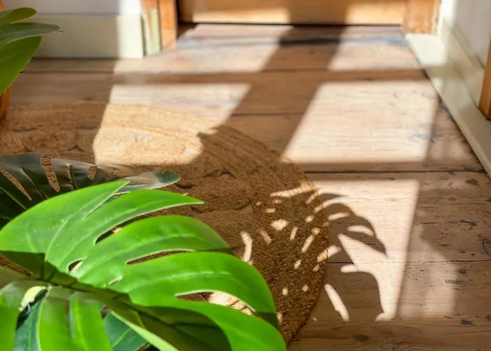 Ava - * Heiligkreuztal