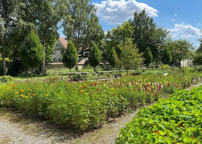 Ava - * Heiligkreuztal